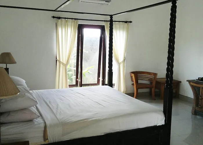 Padang Padang Surf